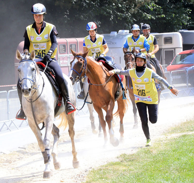 Burssels Equestrian Endurance trail